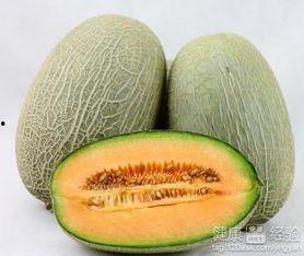 西北吃哈密瓜