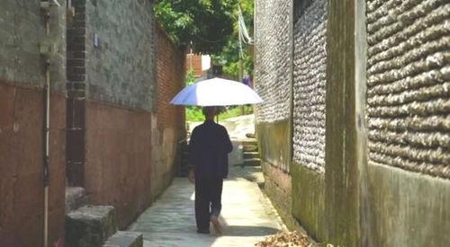 苍山吃瓜群众事迹,吃瓜群众事迹传颂千古