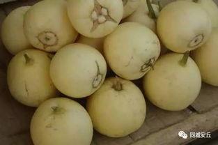 安丘最近吃瓜,揭秘背后真相与网络舆论的力量