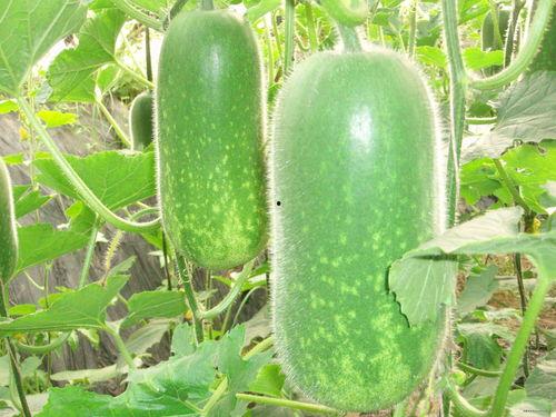 922正在吃瓜,揭秘娱乐圈最新热点事件