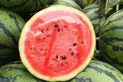 米兜妈妈吃瓜,揭秘娱乐圈幕后故事