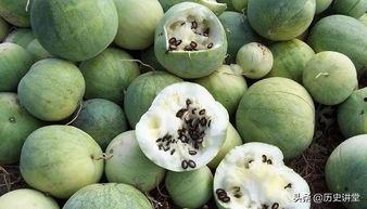 磕磕在吃瓜,揭秘娱乐圈幕后故事