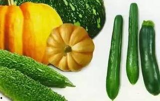 今日吃瓜在线吃瓜,在线围观娱乐圈新鲜事