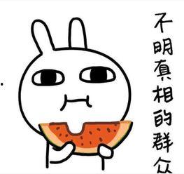 瓜哥吃瓜拍照文案搞笑版,笑料横生，拍照文案搞笑大集合