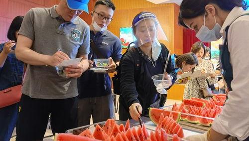 上海吃瓜阿姨,揭秘沪上街头美食传奇