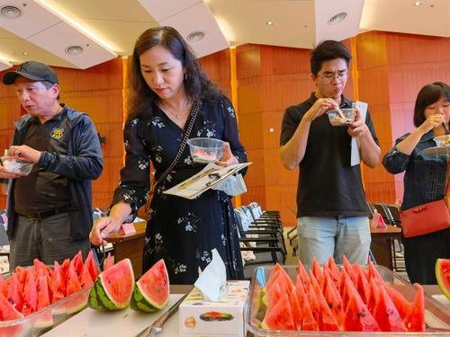 上海吃瓜阿姨,揭秘沪上街头美食传奇