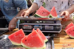 聊城热门吃瓜事件,揭秘热门吃瓜事件的背后真相