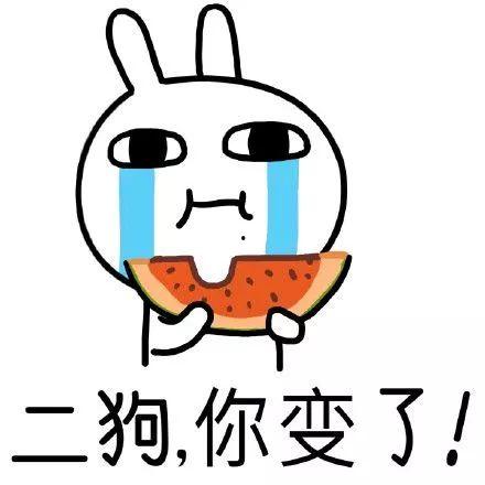 潇洒吃瓜,畅游娱乐江湖