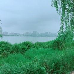 成都沙湖公园吃瓜,悠闲生活新体验