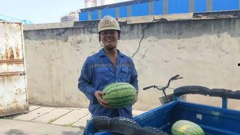 吃瓜群众sky,网络红人的崛起与影响力